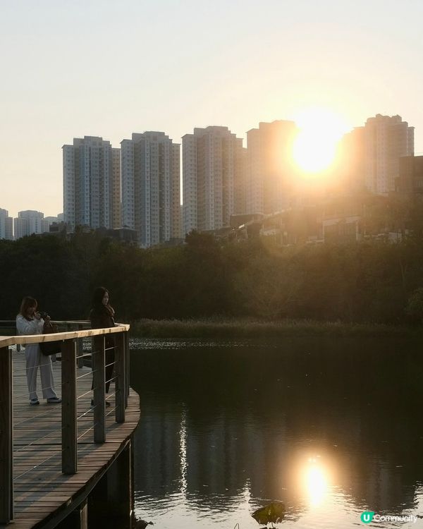 濕 地 公 園 ≣ 散 策 落 羽 松 𖡘𖤣𖤣𖤣