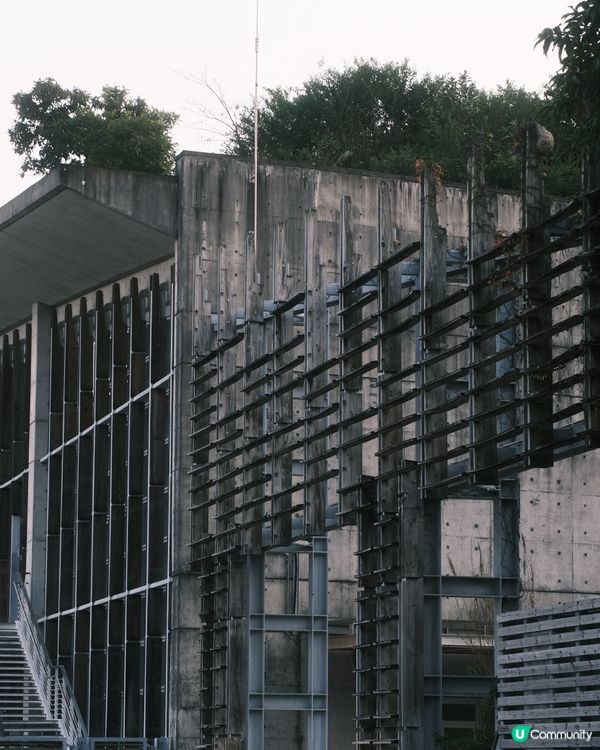 濕 地 公 園 ≣ 散 策 落 羽 松 𖡘𖤣𖤣𖤣