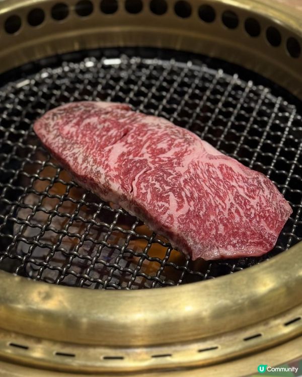 🌸Pink粉紅岩鹽韓牛