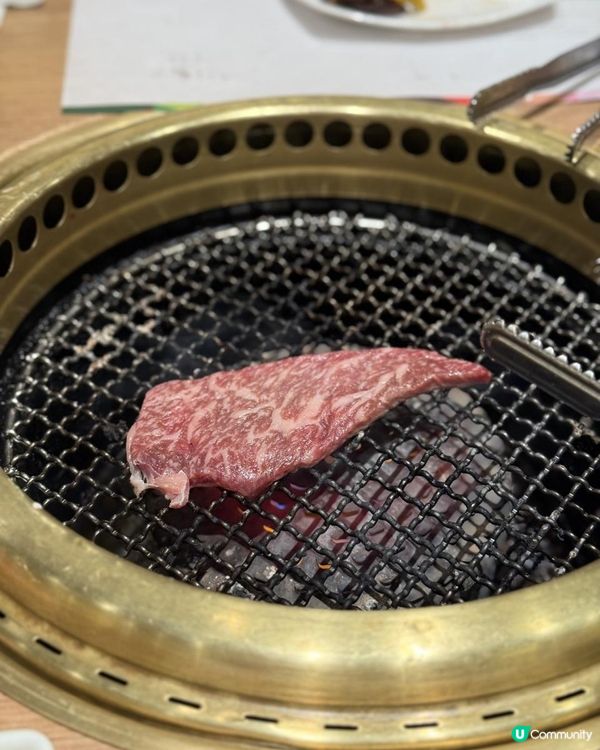 🌸Pink粉紅岩鹽韓牛