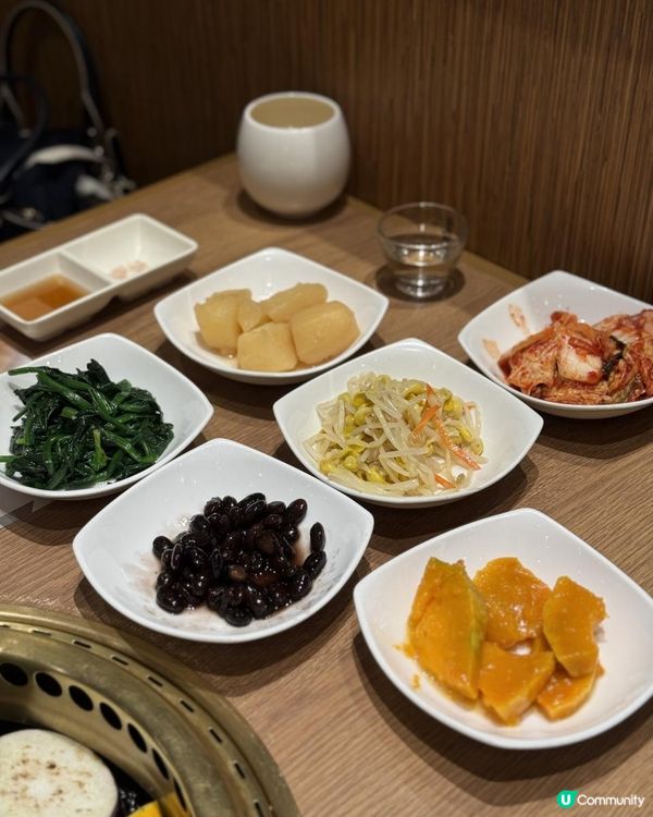 🌸Pink粉紅岩鹽韓牛