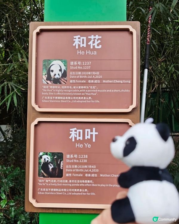 成都大熊貓基地