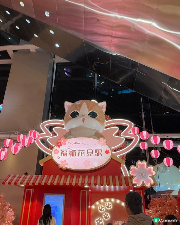 Mofusand <福貓花見駅> 新春展🌸