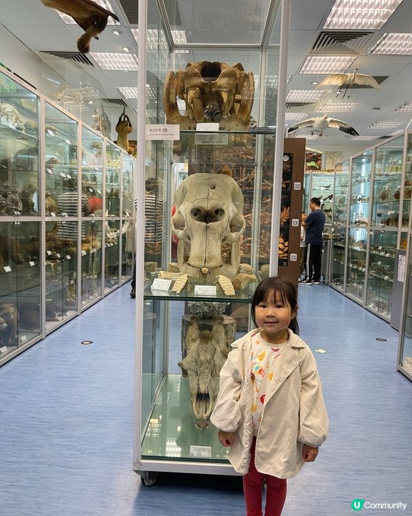 🏛️ 香港生物多樣性博物館之旅！