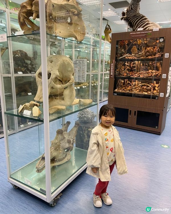 🏛️ 香港生物多樣性博物館之旅！
