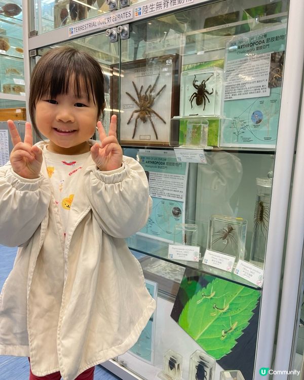 🏛️ 香港生物多樣性博物館之旅！