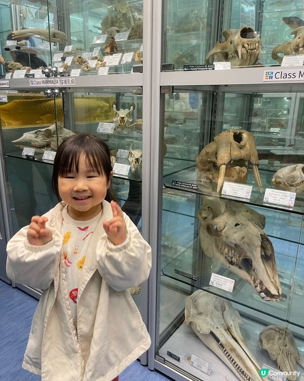 🏛️ 香港生物多樣性博物館之旅！
