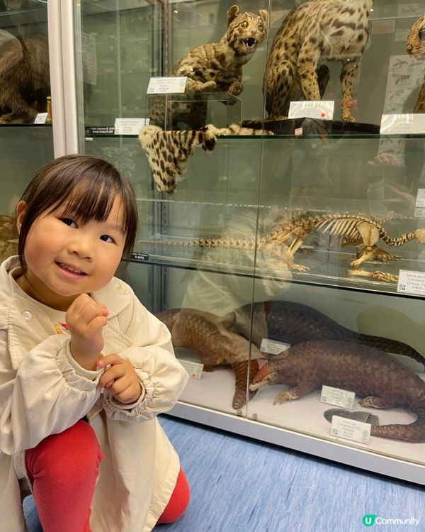 🏛️ 香港生物多樣性博物館之旅！