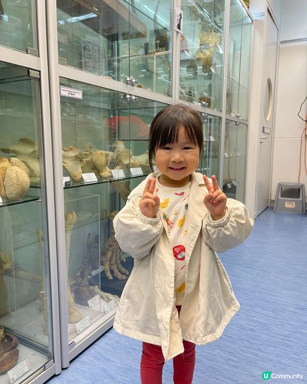 🏛️ 香港生物多樣性博物館之旅！