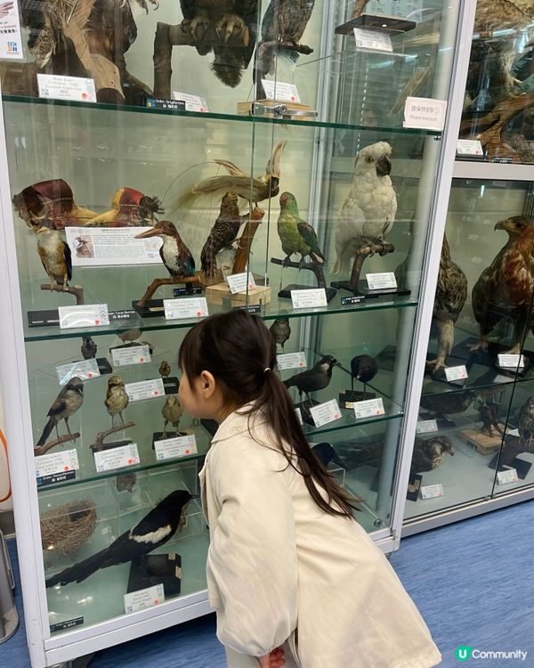 🏛️ 香港生物多樣性博物館之旅！
