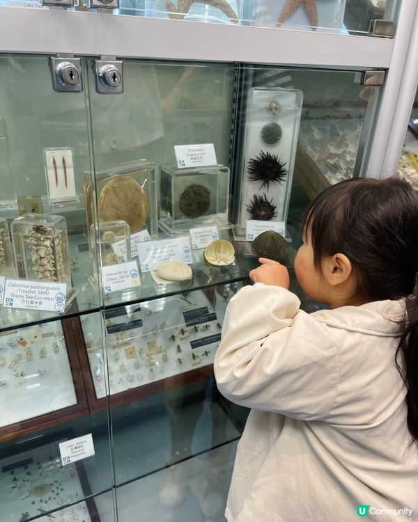 🏛️ 香港生物多樣性博物館之旅！