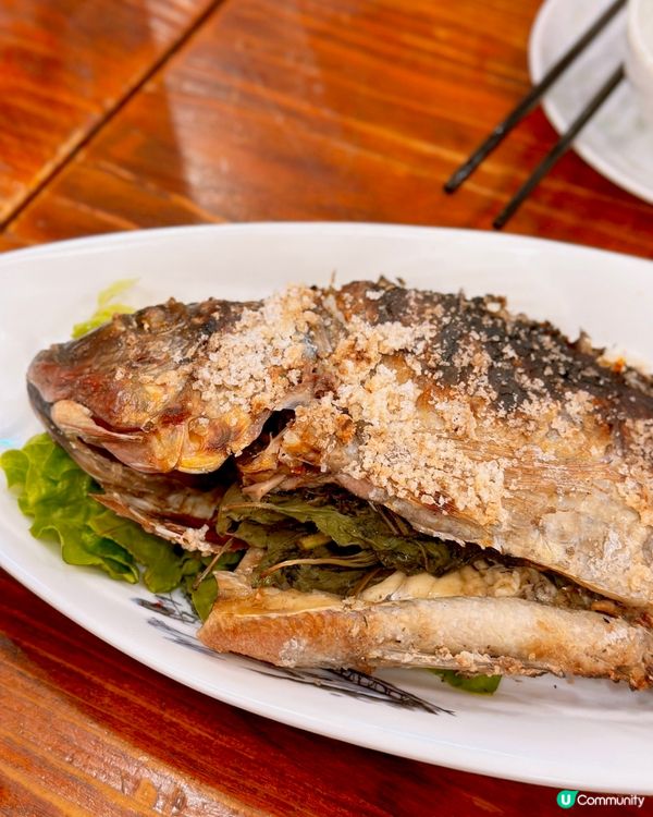 九龍城地道泰菜6點滿座❤️‍🔥盞鬼泰國老細🇹🇭