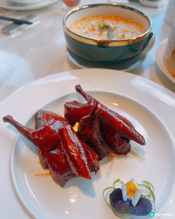 深圳海上世界必食！高級點心x音樂噴泉，視覺與味覺盛宴