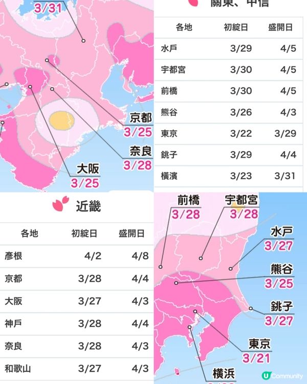 🌸 2025年日本賞櫻攻略！最佳時機+景點推薦