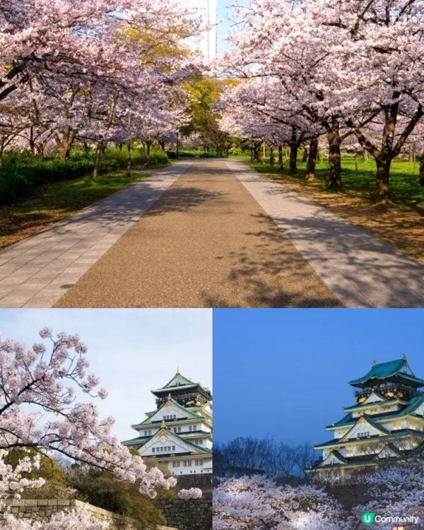 🌸 2025年日本賞櫻攻略！最佳時機+景點推薦