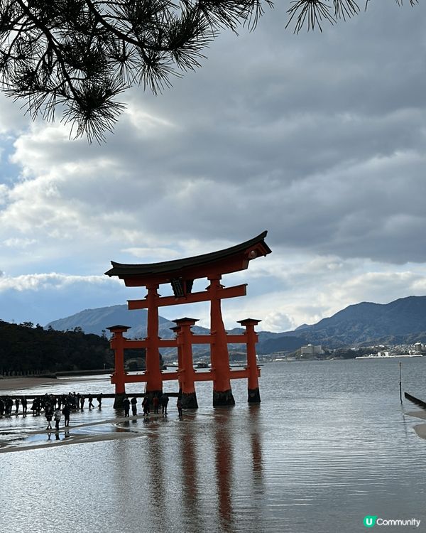 日本廣島之旅💕