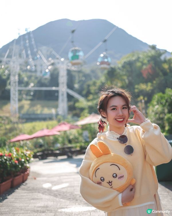 新年好去處🩷可以去大棠，海洋公園行下