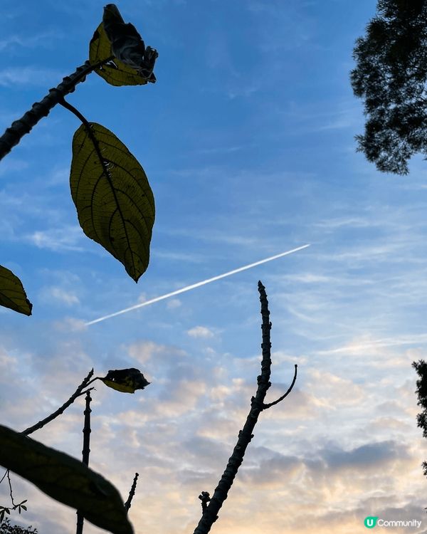 日本江之島遮蔭貓貓遇上上飛蛾山頂估你唔到超強運之山頂靚景，落...