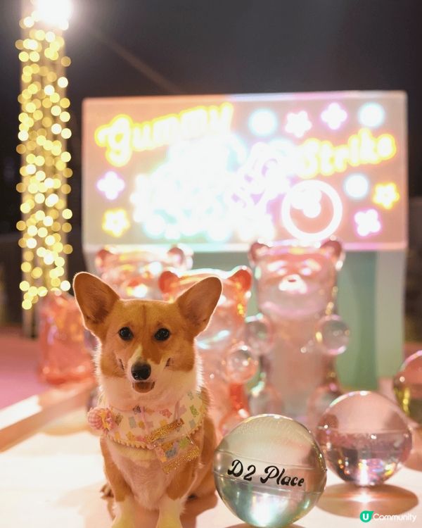 香港寵物友善打卡景點📸媽媽最鐘意周圍發掘香港好去處