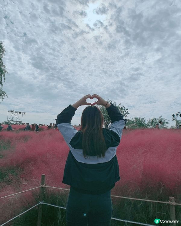 韓國的街頭和風景隨手一拍都很美，尤其是在天空公園的超夢幻粉紅...