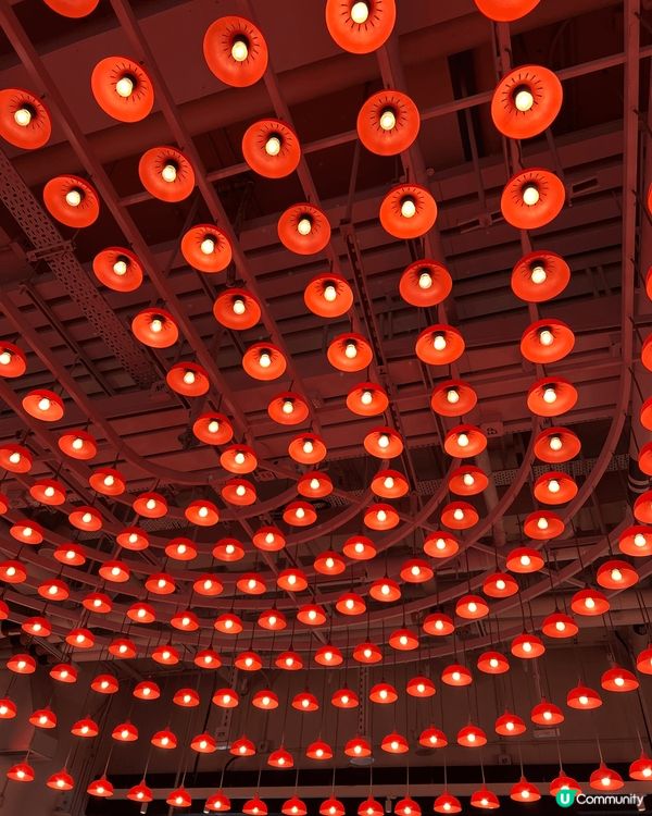 香港特式藝術照片，以獨特嘅角度捕捉香港嘅景色、坐定定嘅貓貓