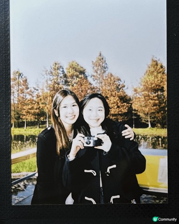 濕地公園的落羽松，一到秋冬季節，便如同披上了一層金黃色的織毯...