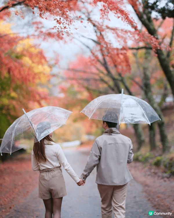 2024日本紅葉及銀杏之旅🍁