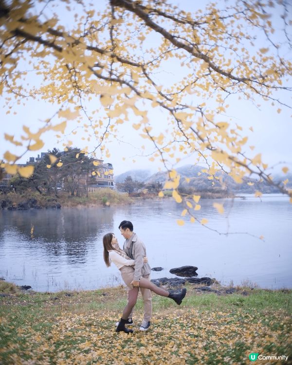 2024日本紅葉及銀杏之旅🍁