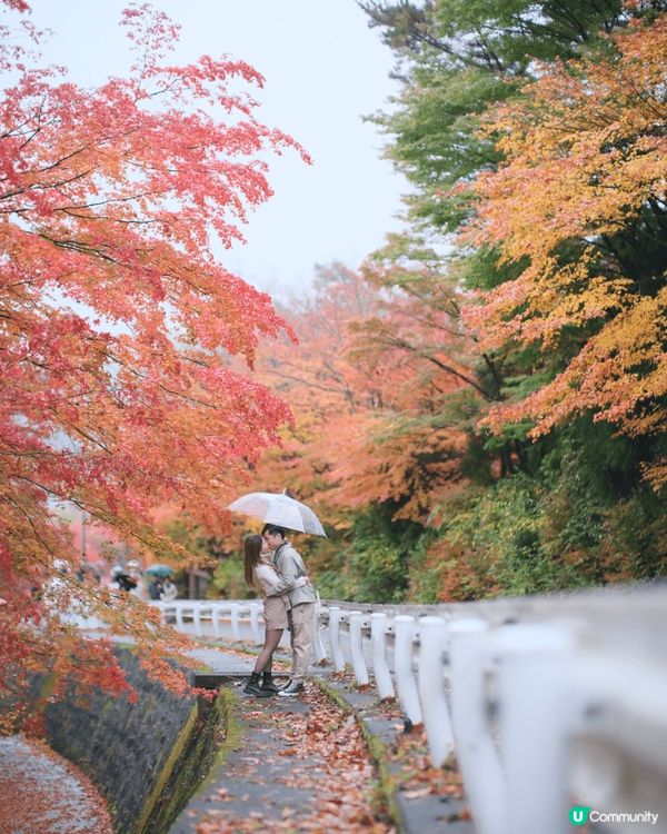 2024日本紅葉及銀杏之旅🍁
