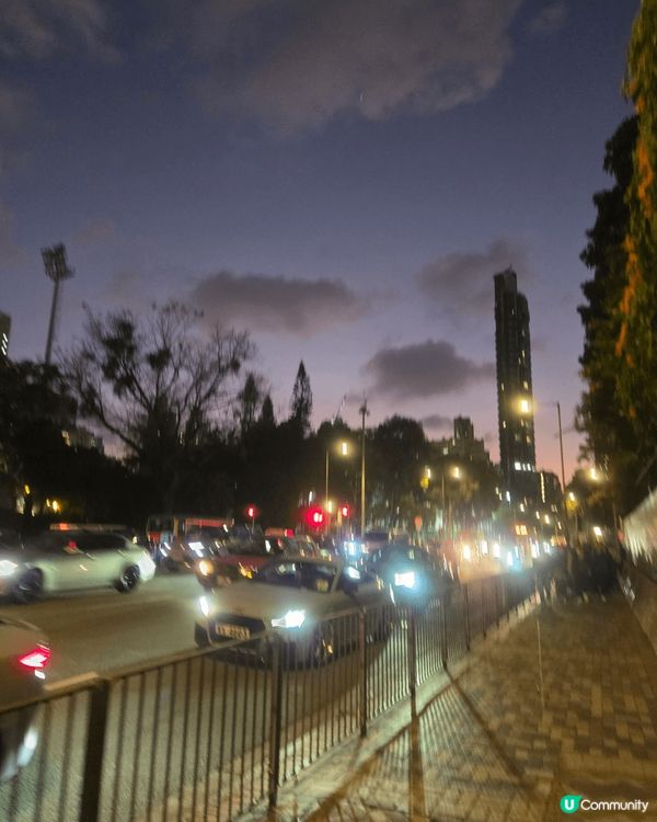 日與夜的花園街花墟美景，到處熙來攘往，好不熱鬧，站在中央，感...