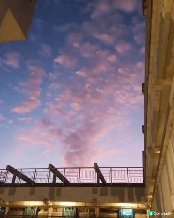 圖一：珠海長隆遊樂園有噴水節目，彩虹超靚🌈