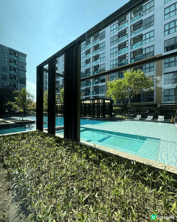 五幅圖片展現泰國城市多元魅力:寬敞舒適的室外泳池,高聳入雲的...