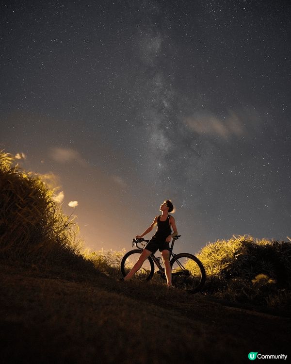 第一張在單車環島遊時拍的照片！第二張是在M+那邊拍的。聖誕樹...