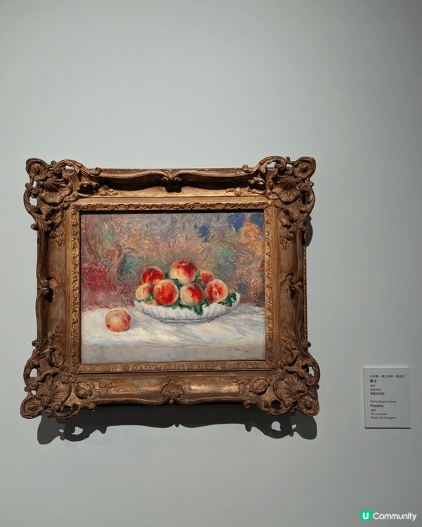 圖片包括畫展、餐廳打卡、公園/風景分享等不同景點