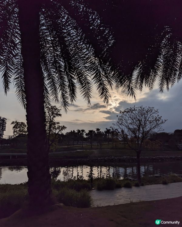 圖片包括畫展、餐廳打卡、公園/風景分享等不同景點