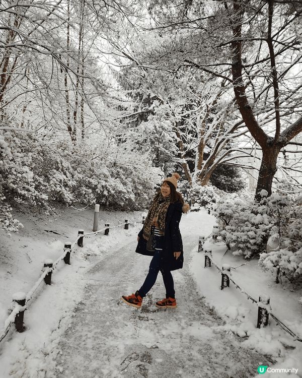 白雪雪的日本最浪漫