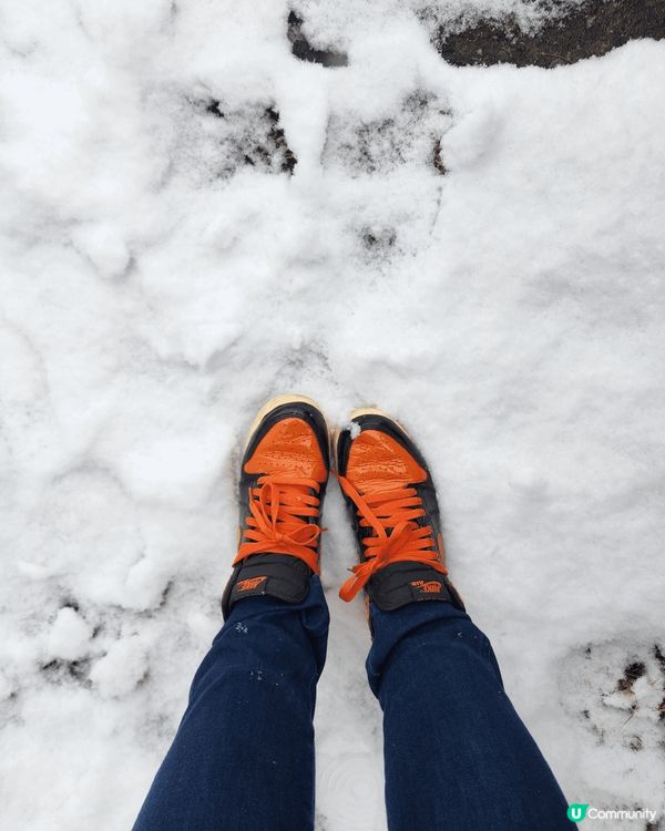 白雪雪的日本最浪漫
