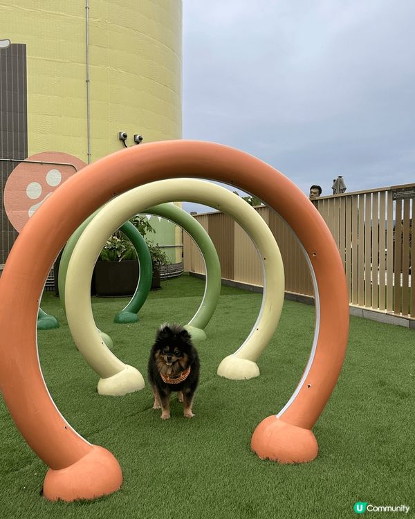 Go Park算係呢期見到最多狗主會去既新地標。