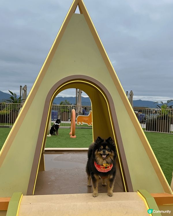 Go Park算係呢期見到最多狗主會去既新地標。