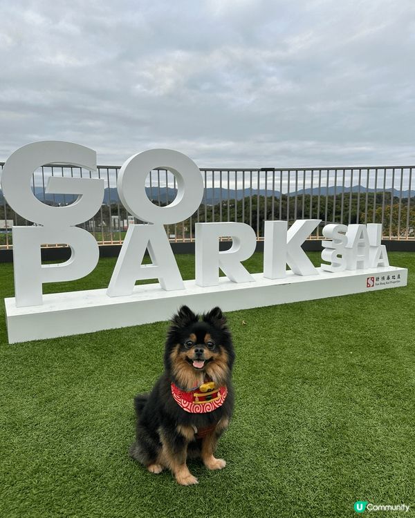 Go Park算係呢期見到最多狗主會去既新地標。