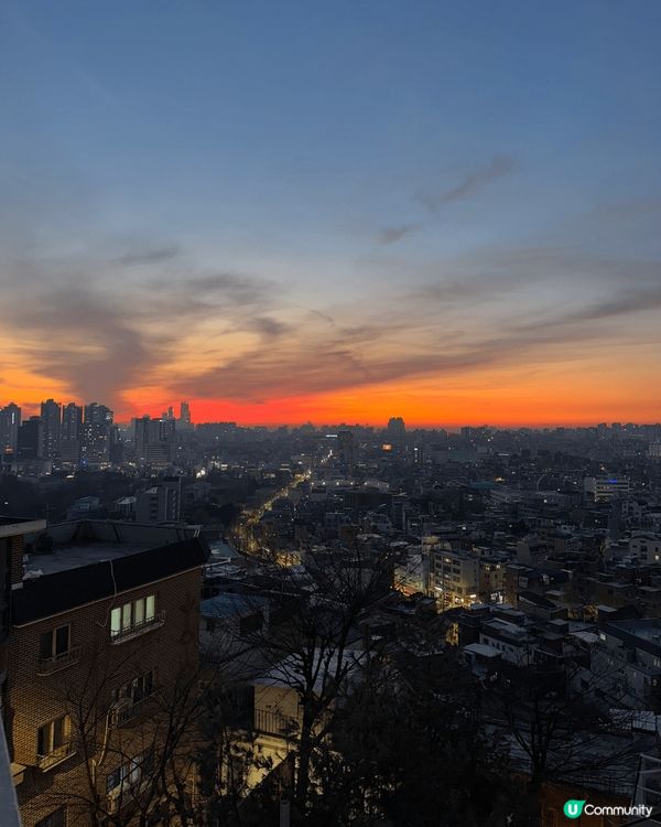 首爾龍山區隱世日落cafe，弘大附近可愛貓咪小布甸，首爾必食...