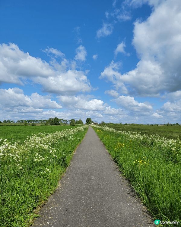 這組照片記錄了過去一年在荷蘭打工度假的美好時光，完美捕捉了旅...