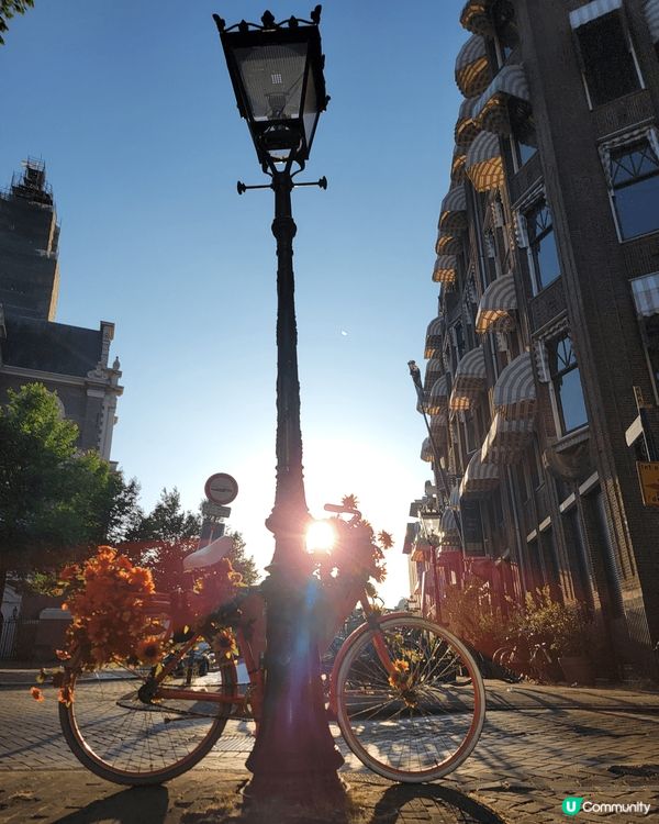 這組照片記錄了過去一年在荷蘭打工度假的美好時光，完美捕捉了旅...