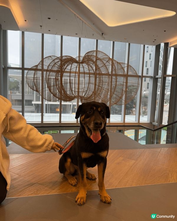 科學園第三期商場可以星期六日係Pet Friendly, 大...