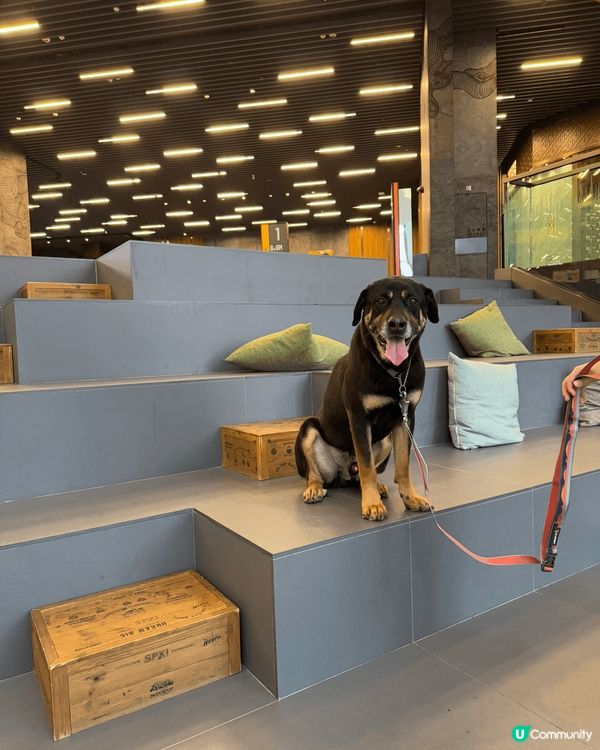 科學園第三期商場可以星期六日係Pet Friendly, 大...