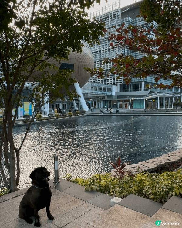 科學園第三期商場可以星期六日係Pet Friendly, 大...