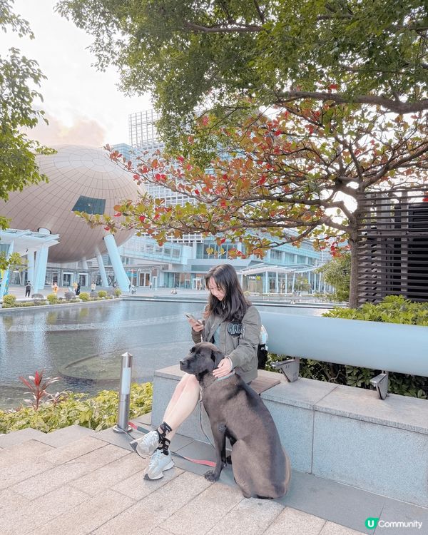 科學園第三期商場可以星期六日係Pet Friendly, 大...