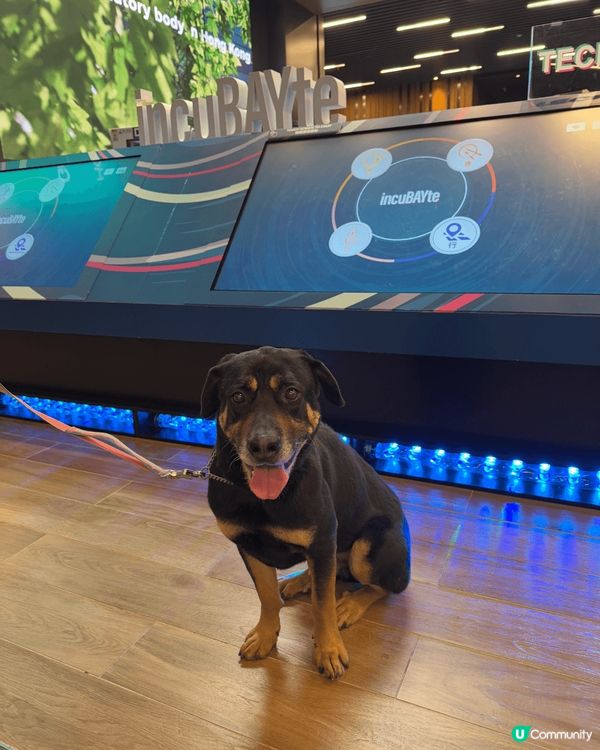 科學園第三期商場可以星期六日係Pet Friendly, 大...