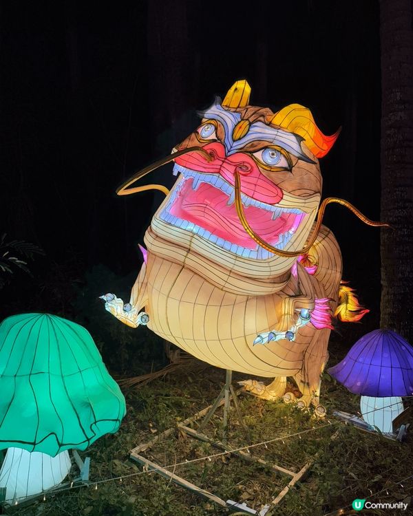 深圳歡樂海岸的2025大灣區超級燈會非常吸晴，未到入口已有卡...