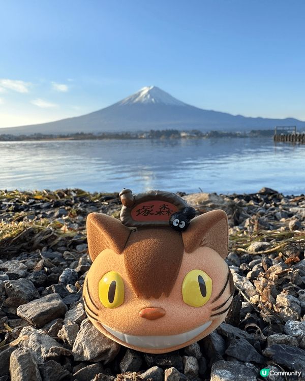富士山打卡之旅，去河口湖，大石公園，天空之鳥居，吉田本町商店...